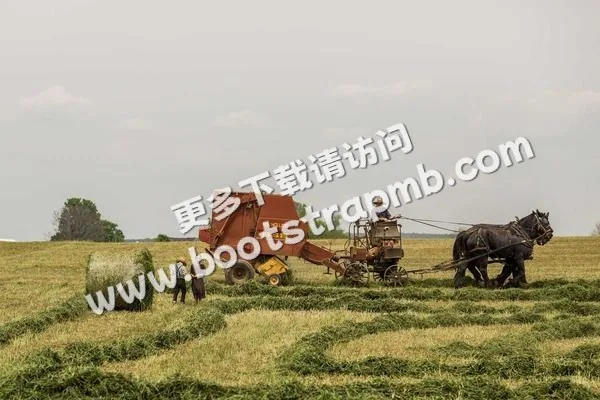⊞ Portfolio - 英超直播